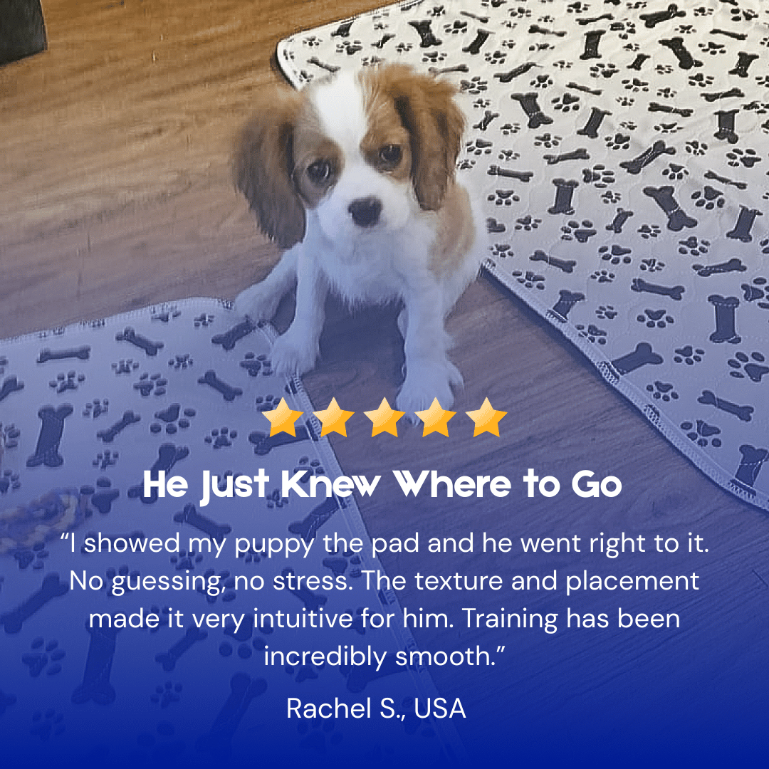 PupPadLab Pads – Just Works