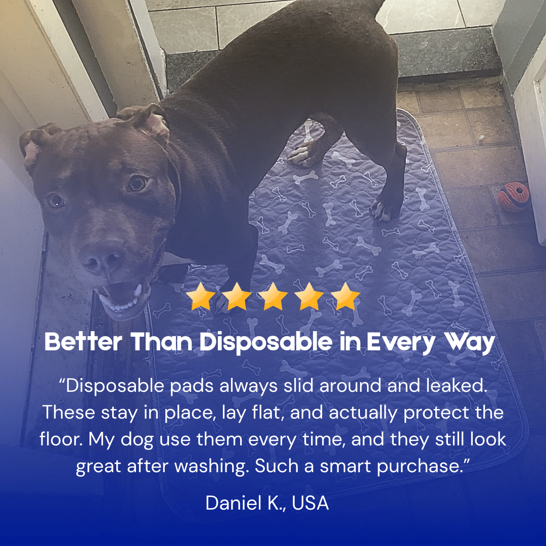 PupPadLab Pads – Just Works