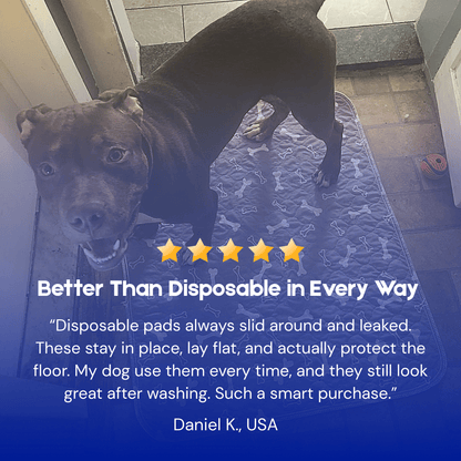 PupPadLab Pads – Just Works